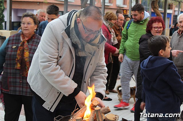 Bendicin de animales San Antn Totana 2019 - 51