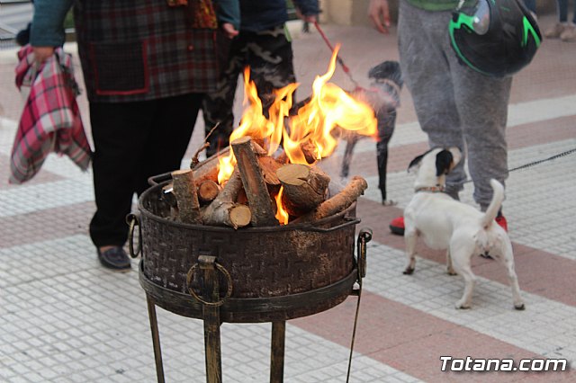 Bendicin de animales San Antn Totana 2019 - 56