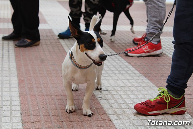 Bendicin de animales San Antn Totana 2019 - 58