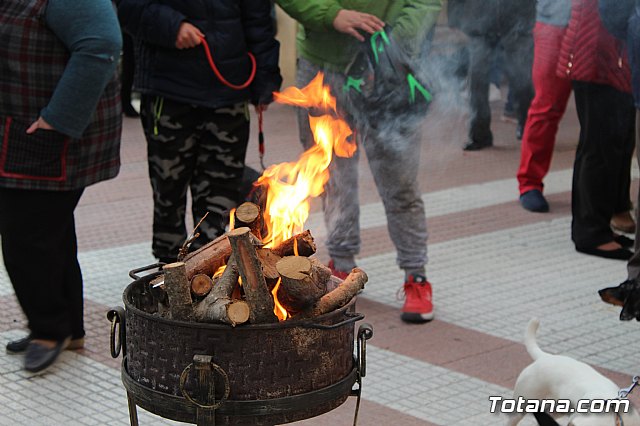 Bendicin de animales San Antn Totana 2019 - 59