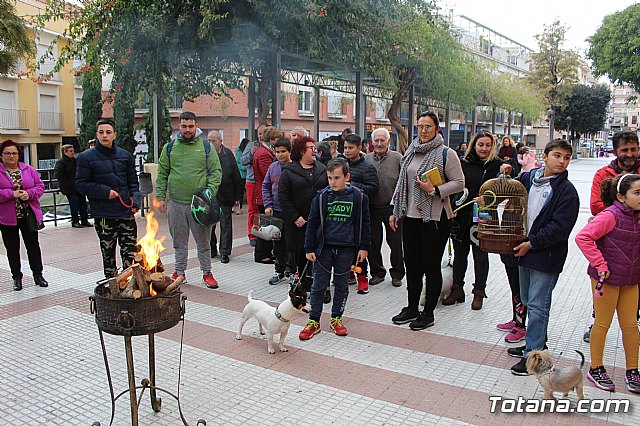 Bendicin de animales San Antn Totana 2019 - 62