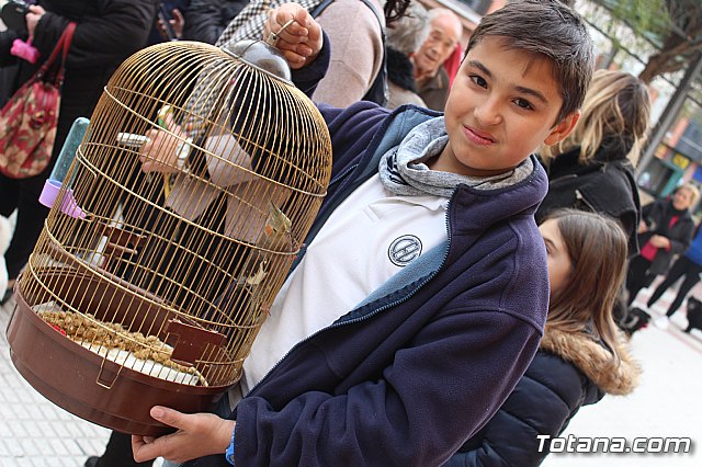 Bendicin de animales San Antn Totana 2019 - 64