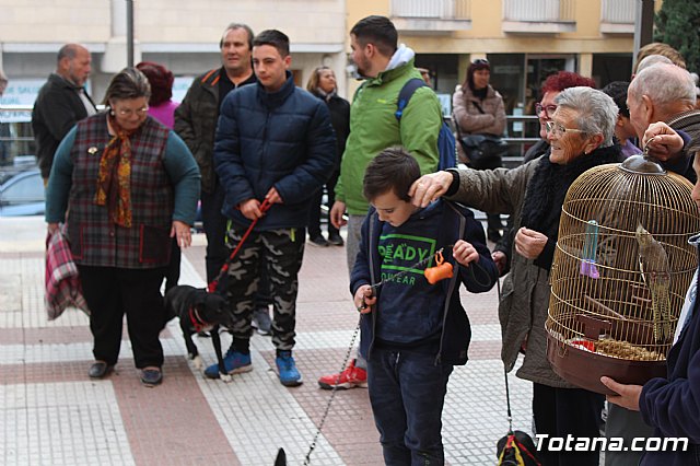Bendicin de animales San Antn Totana 2019 - 65