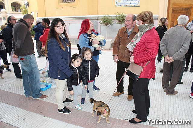 Bendicin de animales San Antn Totana 2019 - 74