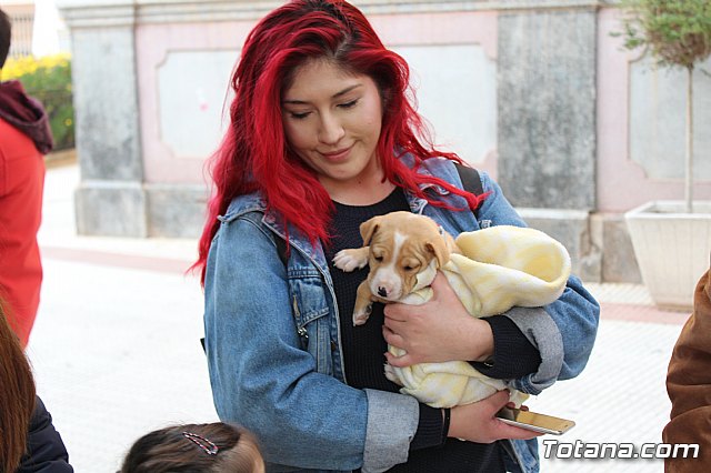 Bendicin de animales San Antn Totana 2019 - 75