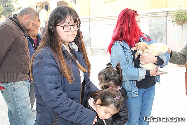 Bendicin de animales San Antn Totana 2019 - 76