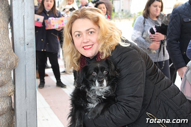 Bendicin de animales San Antn Totana 2019 - 77