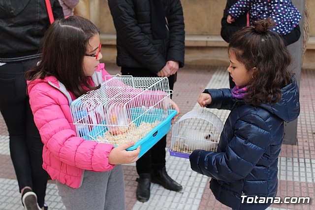 Bendicin de animales San Antn Totana 2019 - 83