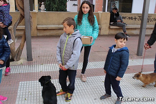 Bendicin de animales San Antn Totana 2019 - 86