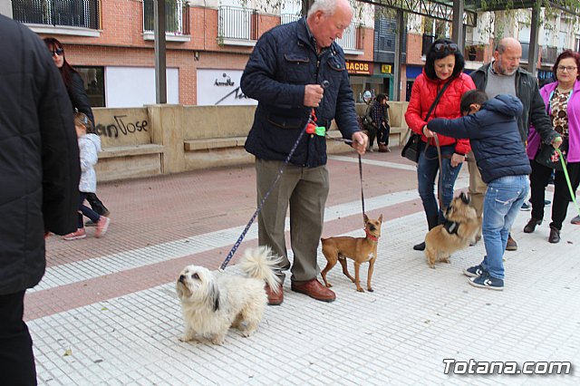 Bendicin de animales San Antn Totana 2019 - 89