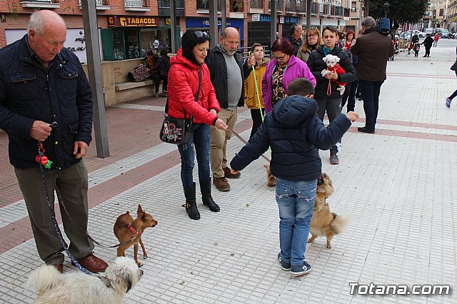 Bendicin de animales San Antn Totana 2019 - 90