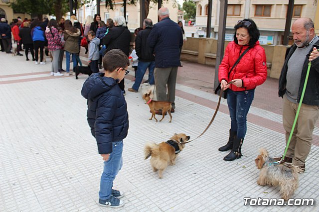 Bendicin de animales San Antn Totana 2019 - 93