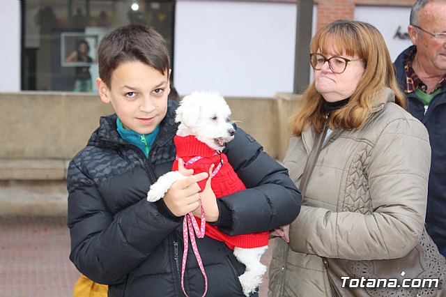 Bendicin de animales San Antn Totana 2019 - 94