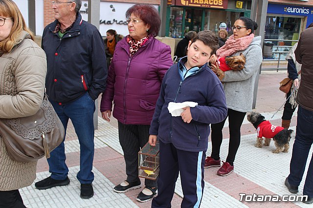 Bendicin de animales San Antn Totana 2019 - 95