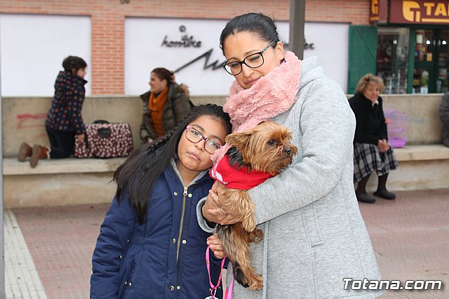 Bendicin de animales San Antn Totana 2019 - 96