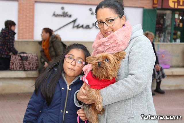 Bendicin de animales San Antn Totana 2019 - 97