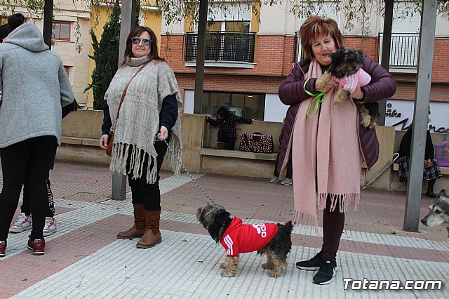 Bendicin de animales San Antn Totana 2019 - 99