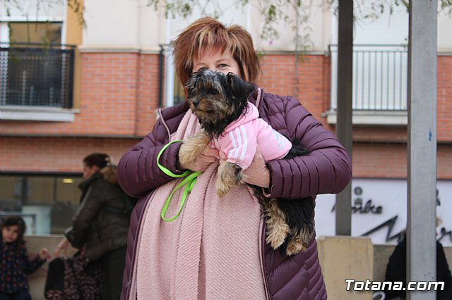 Bendicin de animales San Antn Totana 2019 - 100