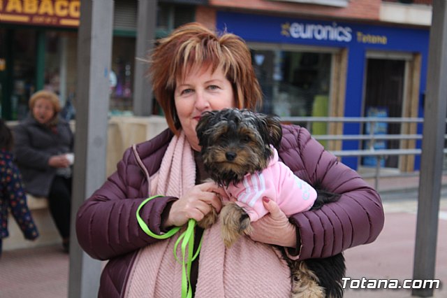 Bendicin de animales San Antn Totana 2019 - 101