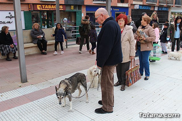 Bendicin de animales San Antn Totana 2019 - 102