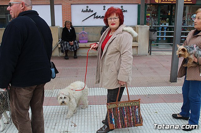 Bendicin de animales San Antn Totana 2019 - 103