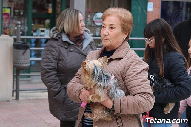 Bendicin de animales San Antn Totana 2019 - 104