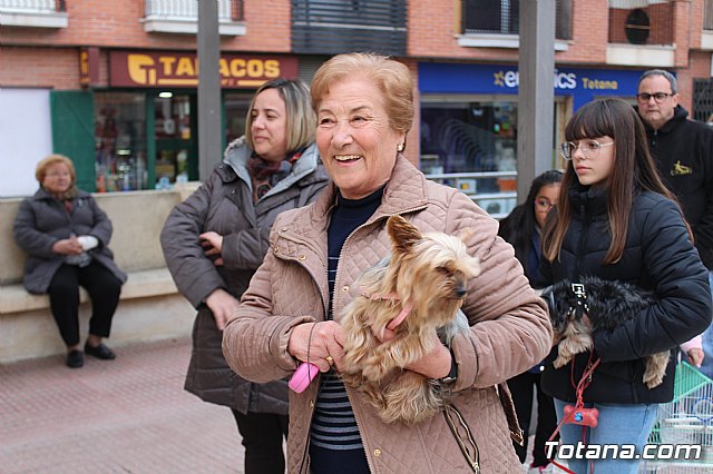 Bendicin de animales San Antn Totana 2019 - 108
