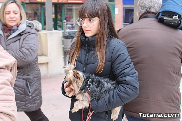 Bendicin de animales San Antn Totana 2019 - 109