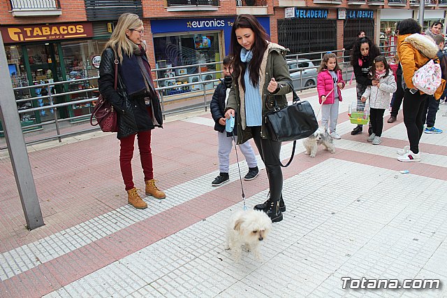Bendicin de animales San Antn Totana 2019 - 111