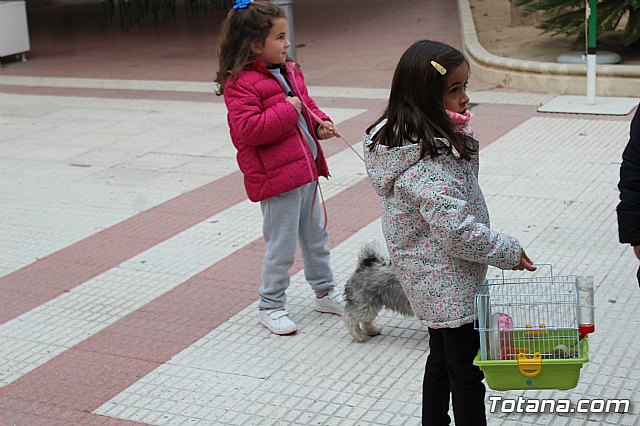 Bendicin de animales San Antn Totana 2019 - 113