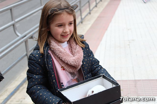 Bendicin de animales San Antn Totana 2019 - 114