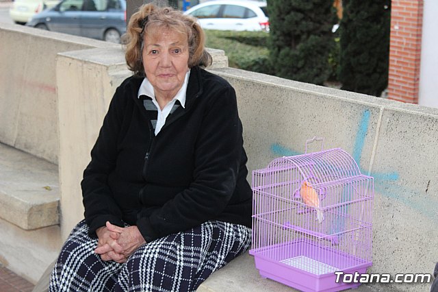 Bendicin de animales San Antn Totana 2019 - 116