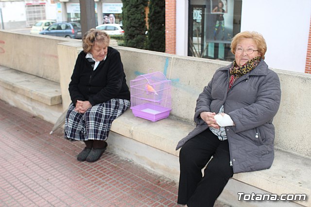 Bendicin de animales San Antn Totana 2019 - 117