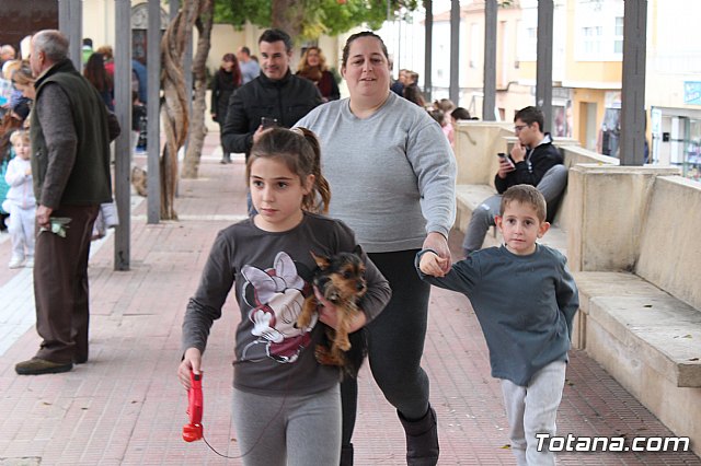 Bendicin de animales San Antn Totana 2019 - 118