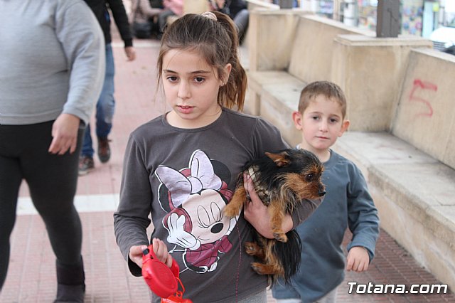 Bendicin de animales San Antn Totana 2019 - 119