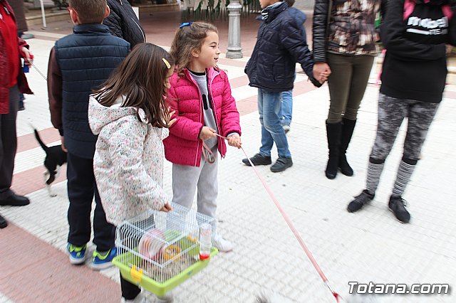 Bendicin de animales San Antn Totana 2019 - 120