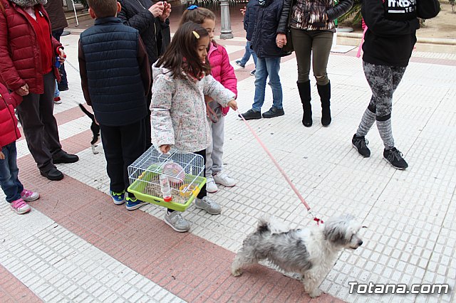 Bendicin de animales San Antn Totana 2019 - 121
