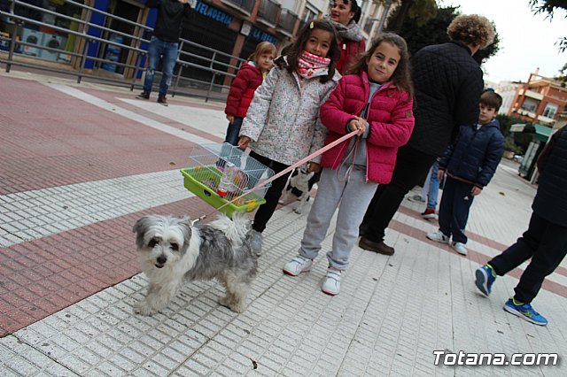 Bendicin de animales San Antn Totana 2019 - 123