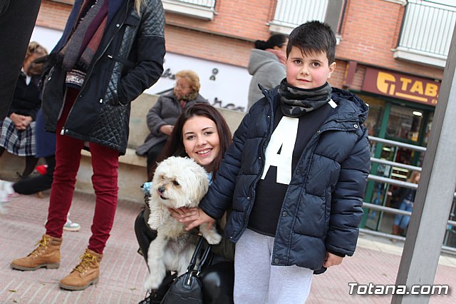 Bendicin de animales San Antn Totana 2019 - 124