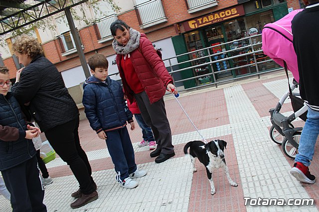 Bendicin de animales San Antn Totana 2019 - 126