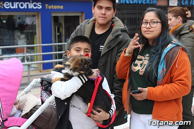 Bendicin de animales San Antn Totana 2019 - 131