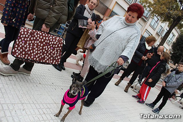 Bendicin de animales San Antn Totana 2019 - 136