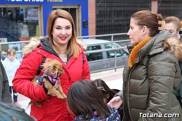 Bendicin de animales San Antn Totana 2019 - 138