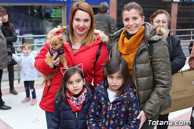 Bendicin de animales San Antn Totana 2019 - 140
