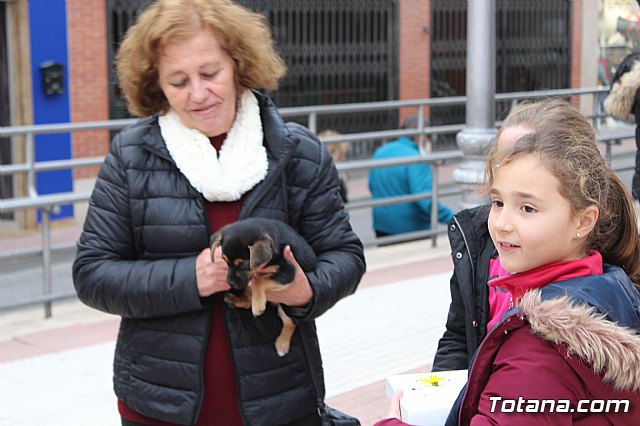 Bendicin de animales San Antn Totana 2019 - 145