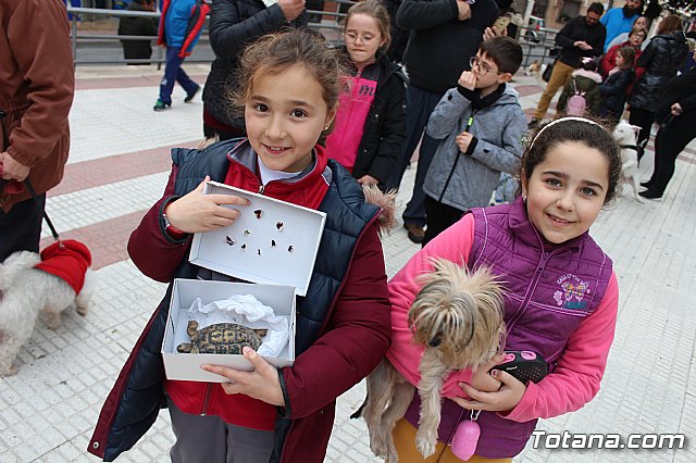 Bendicin de animales San Antn Totana 2019 - 147