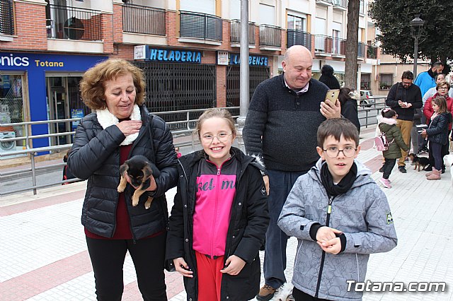Bendicin de animales San Antn Totana 2019 - 148