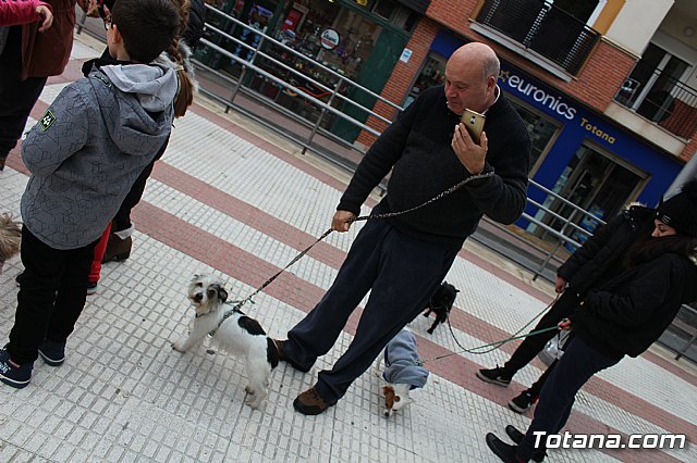 Bendicin de animales San Antn Totana 2019 - 149
