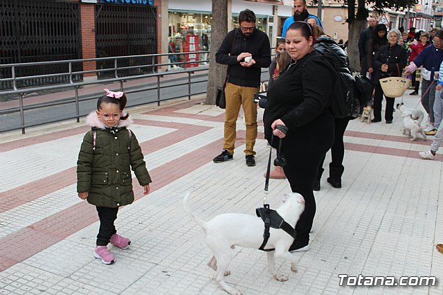 Bendicin de animales San Antn Totana 2019 - 150