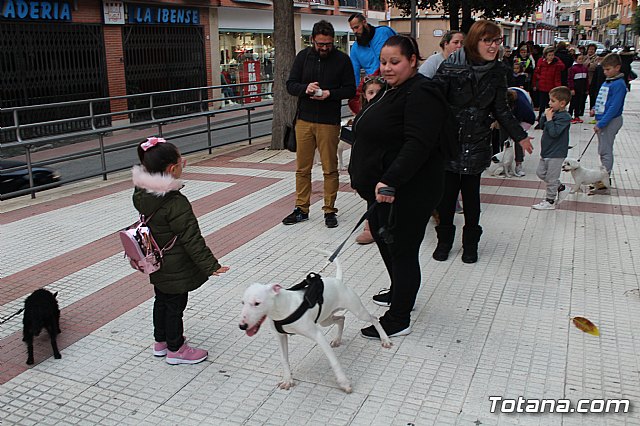 Bendicin de animales San Antn Totana 2019 - 151